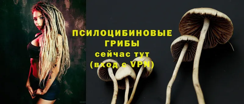 Псилоцибиновые грибы Magic Shrooms  наркошоп  Беслан 